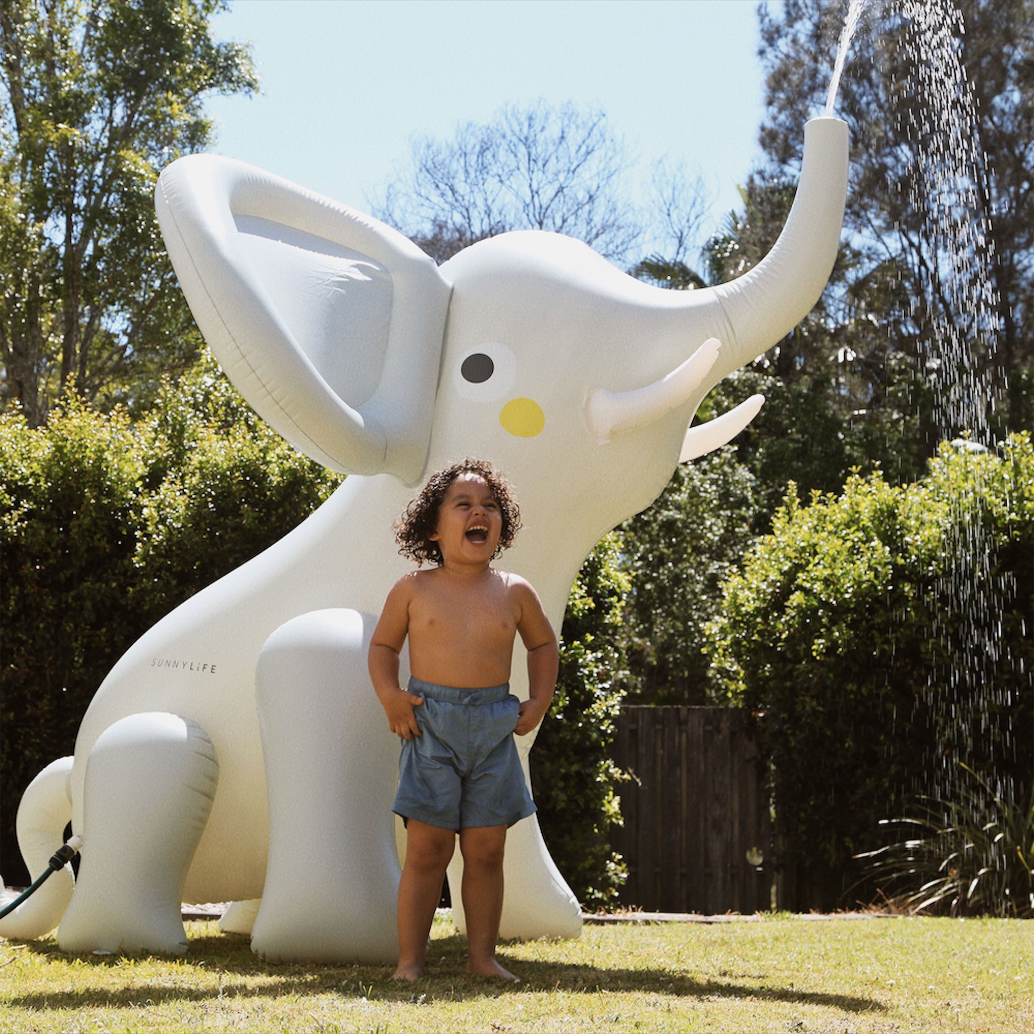 Eli The Elephant