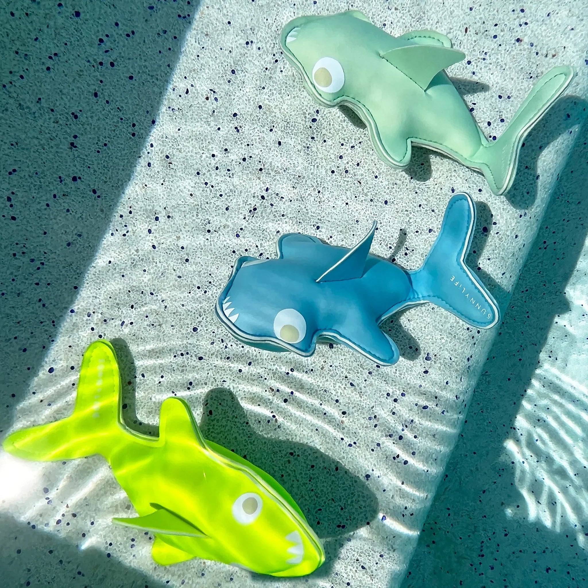 Dive Buddies - SUNNYLiFE AU