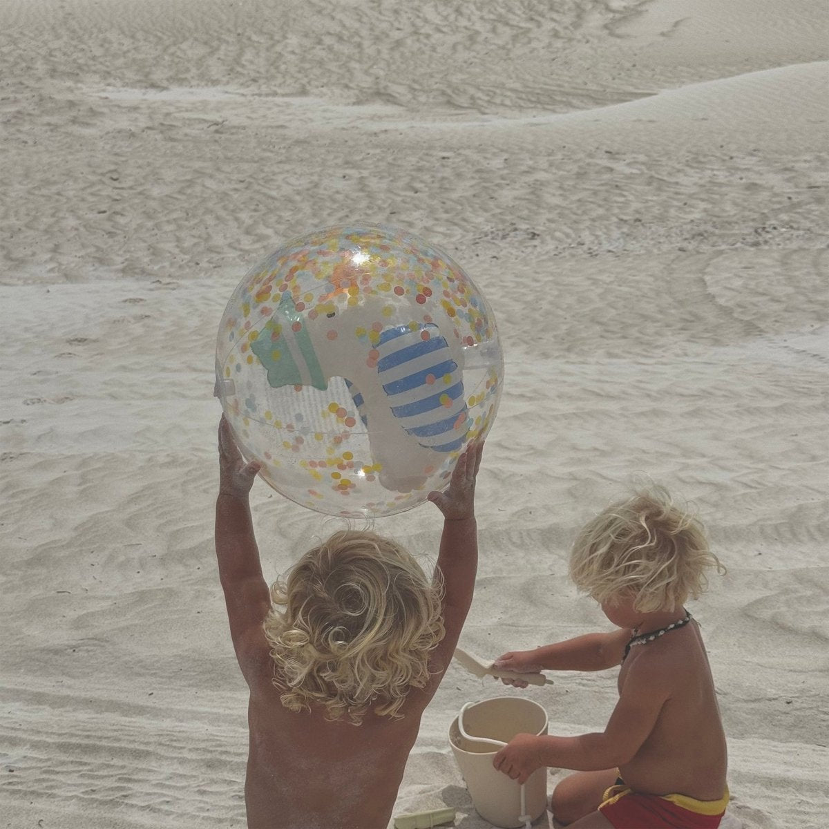 3D Inflatable Beach Ball - Sammy the Seagull - SUNNYLiFE AU