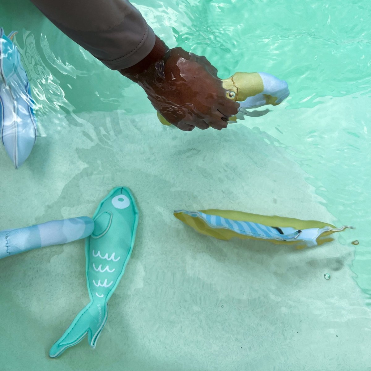 Dive Buddies - Sammy the Seagull - SUNNYLiFE AU