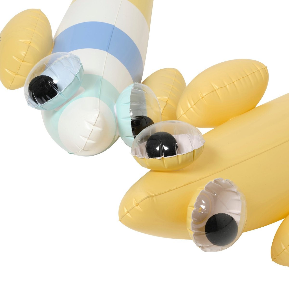 Kids Inflatable Noodle - Finn the Fish - SUNNYLiFE AU