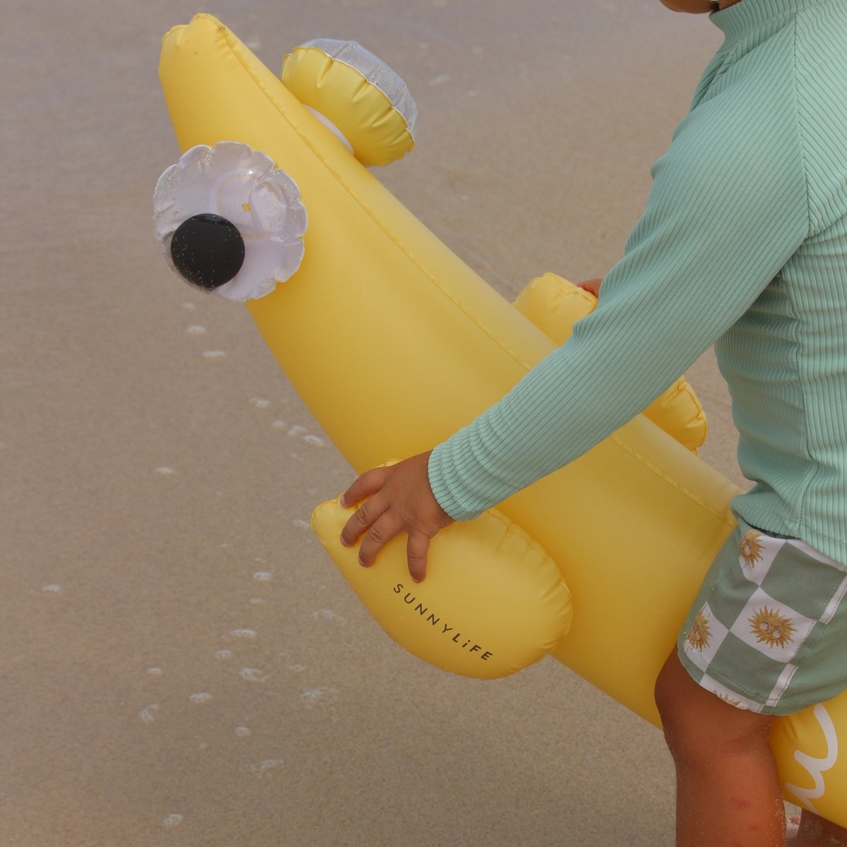 Kids Inflatable Noodle - Finn the Fish - SUNNYLiFE AU