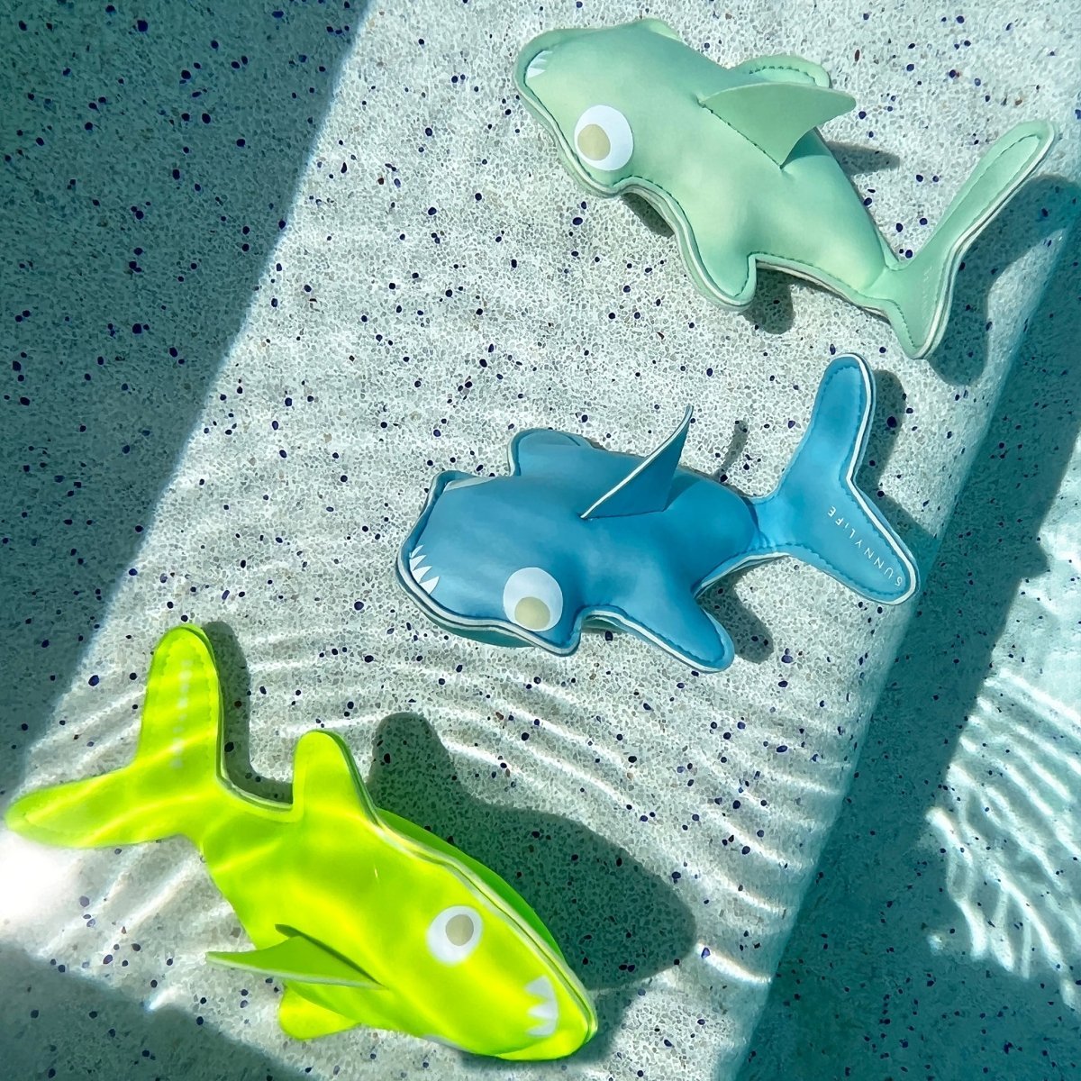 Dive Buddies - Salty the Shark - SUNNYLiFE AU
