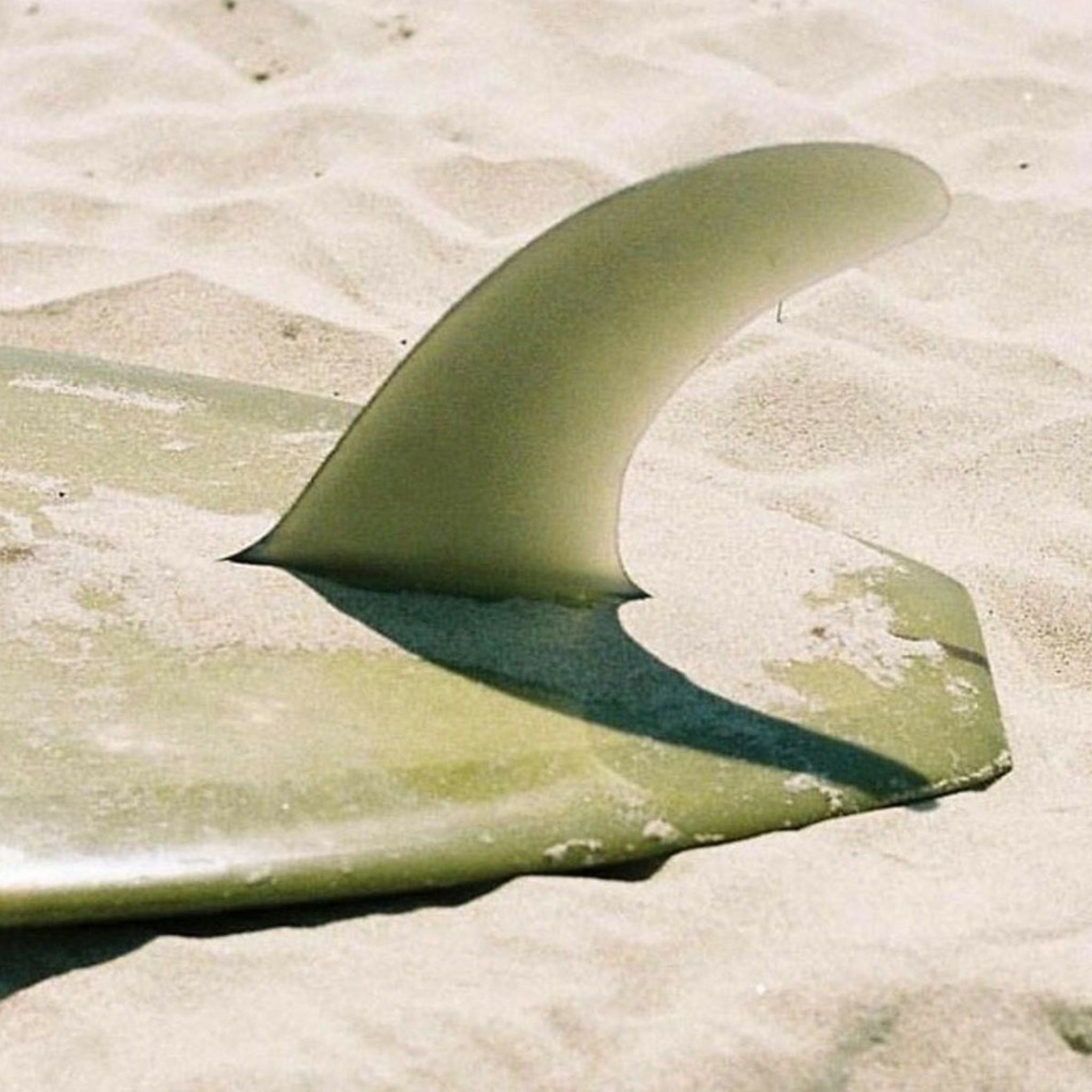 Your Summer Reset | Mind, Body & Pool Floats - SUNNYLiFE AU