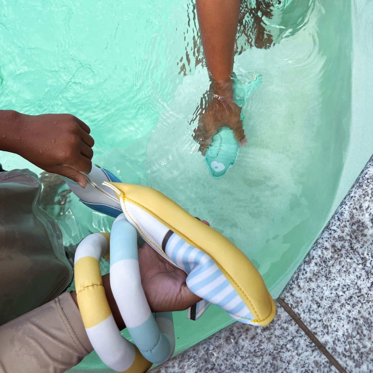 Dive Buddies - Sammy the Seagull - SUNNYLiFE AU