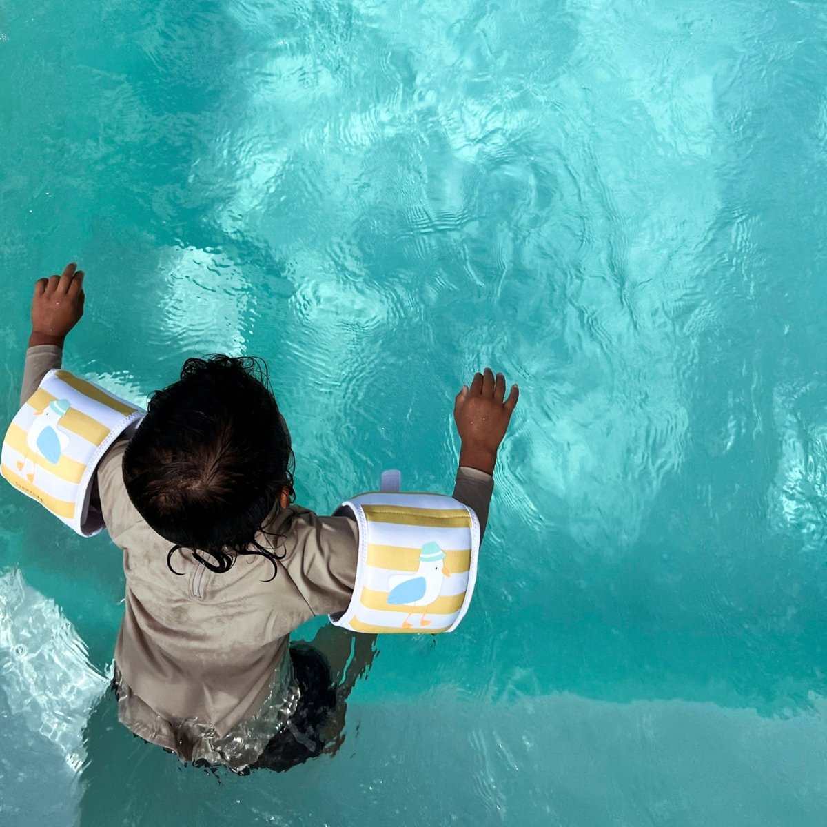 Kids Neoprene Arm Bands - Sammy the Seagull - SUNNYLiFE AU