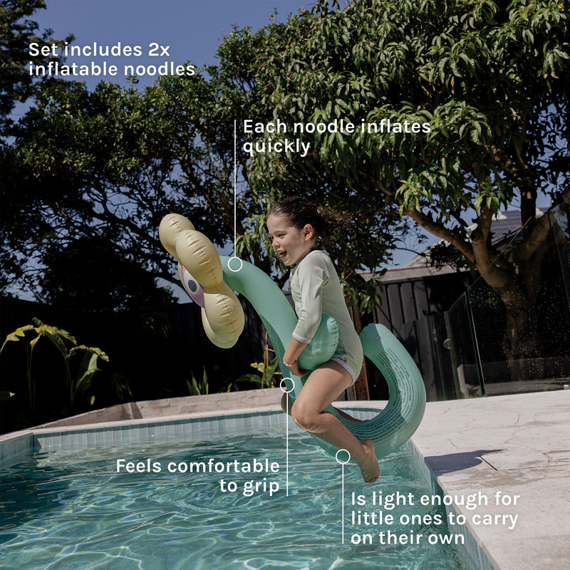 Features & Benefits